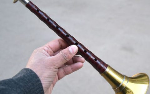 唢呐抖音搞笑神句（抖音唢呐段子）