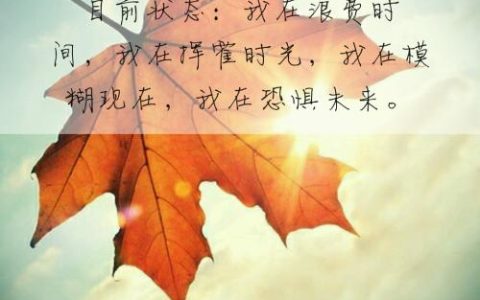 加头像的恋爱情话短句（适合加在头像上的句子）