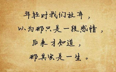相识是缘分的经典语录（相遇是缘分的句子）