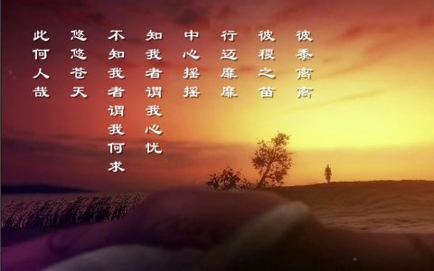 江湖再见霸气离别句子（江湖再见的精辟句子）