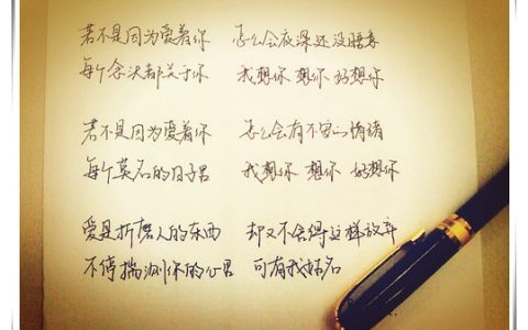 人文关怀经典句子（描写人文关怀的金句）