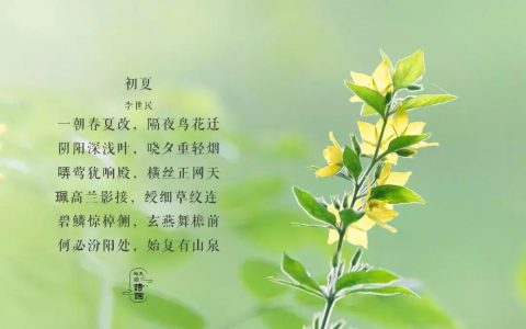初夏时节致辞开头（初夏致辞开场白）