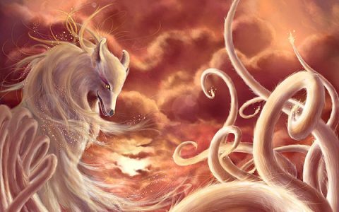 狐狸文案短句干净（关于狐狸的个性说说）