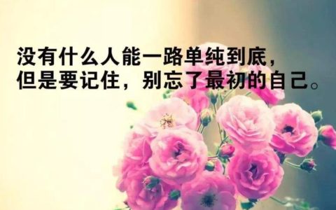 有意义的一句话短句,人生有意义的简短诗句?