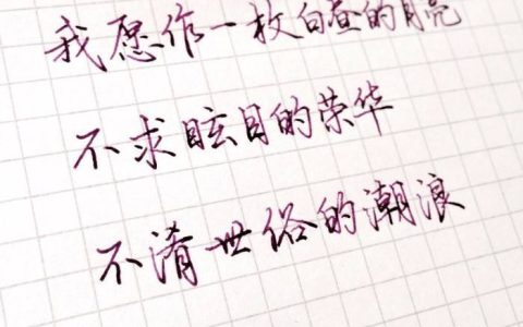 写给女朋友的小情话开头（写给女朋友的情话短句）