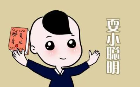 讽刺人耍小聪明的句子,讽刺耍小聪明的名言?