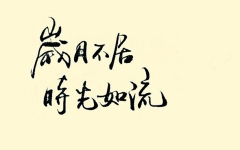 时光飞逝的短句8字（时光飞逝的短句）