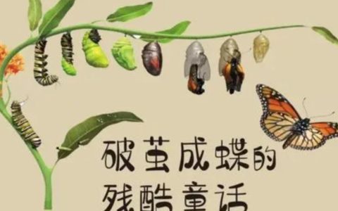形容破茧成蝶的句子,破茧成蝶的优美语句?破茧成蝶励志的唯美句子简短