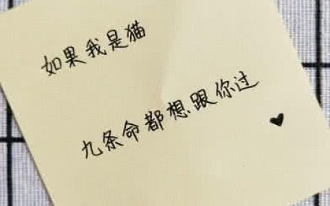 有哪些撩妹暖心的段子（撩女朋友的暖心段子大全）