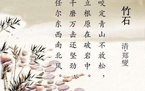 用竹子表达廉洁的诗（以竹子形容廉洁的名言）