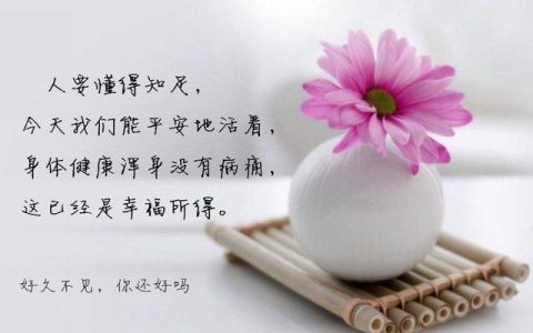 释怀过去的感情的句子(释怀过去的说说)