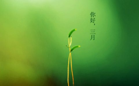 被绿了的自嘲说说（自己被绿了说说）