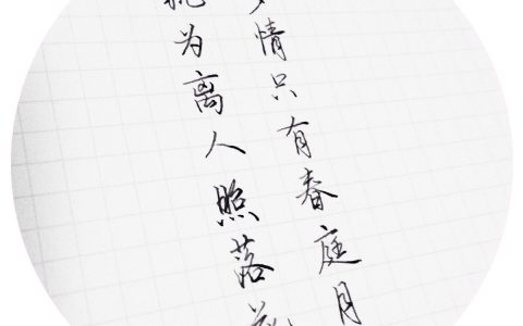 适合用于做题记的句子（适合做题记的语句）