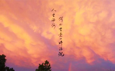 人生浮沉感慨短句（人生浮沉的句子）