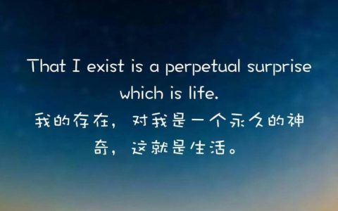很惊艳的英文短句（令人惊艳的英文句子）