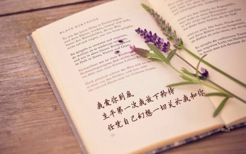 心心念念的经典句子（干净短句暖心）