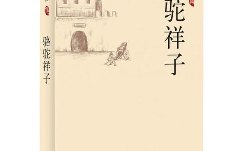 骆驼祥子经典书评名家短句（骆驼祥子精彩书评）