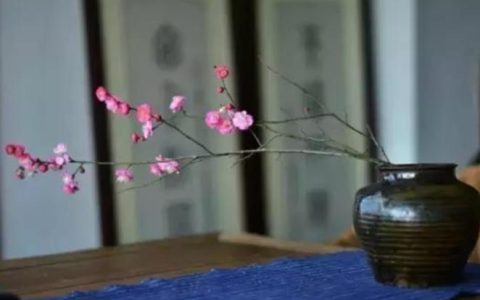 慎言笃行的精辟句子?(精选)